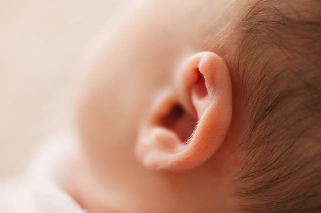 baby's ear