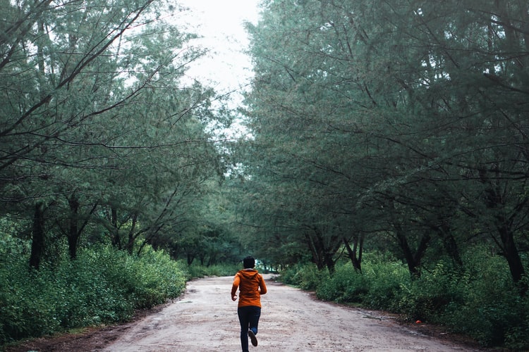 A jogger running in the woods.