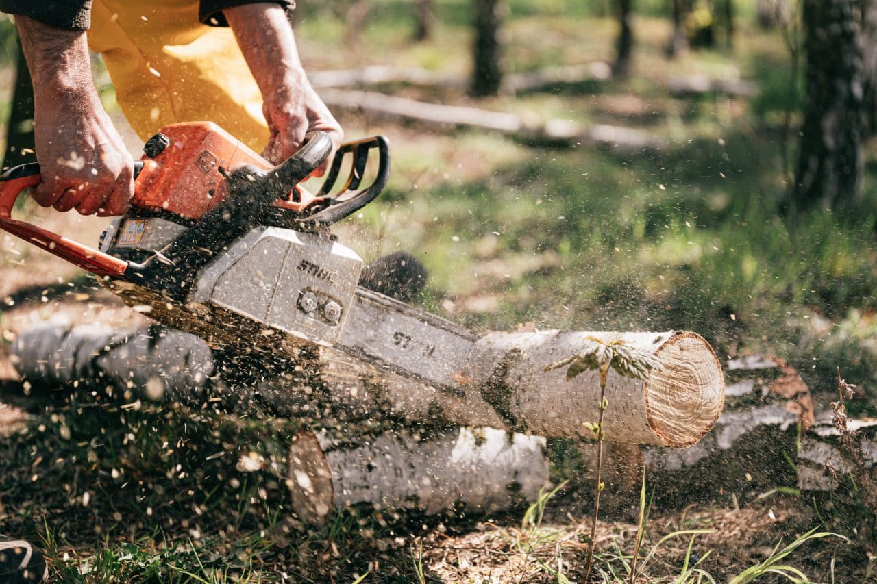 Logger using a chainsaw.